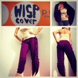 The WISP